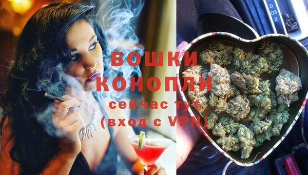 ГАЛЛЮЦИНОГЕННЫЕ ГРИБЫ Магас