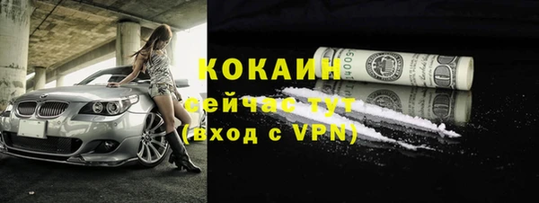 ГАЛЛЮЦИНОГЕННЫЕ ГРИБЫ Магас