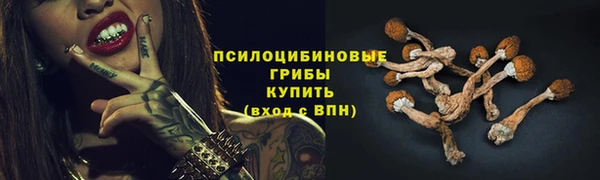 хмурый Магадан