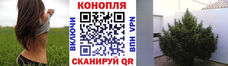 Конопля планчик  Купить закладки  Славянск-на-Кубани 